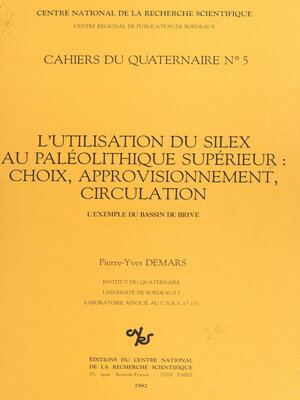 cover image of L'utilisation du silex au paléolithique supérieur, choix approvisionnement, circulation
